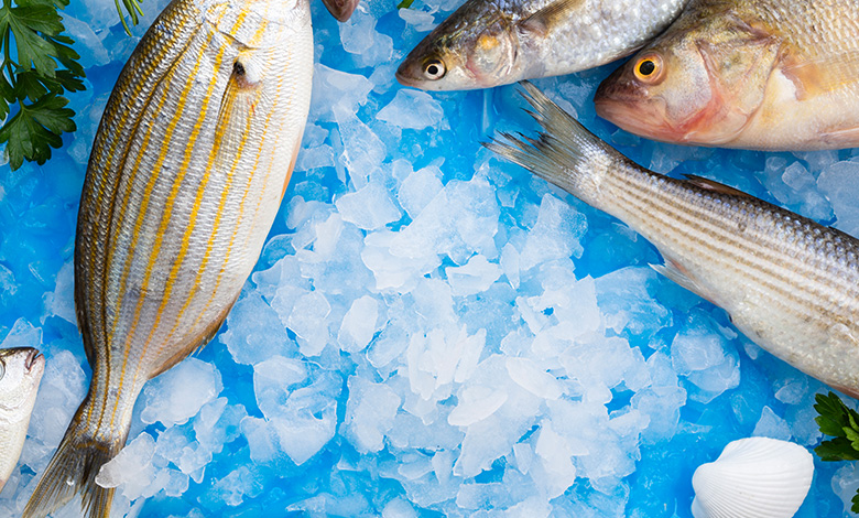 National Fish Farmers Day 2024 National Fish Farmers Day 2024