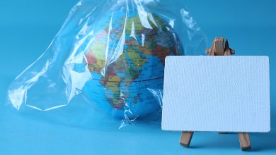 International Plastic Bag Free Day 2024