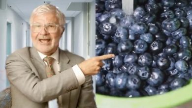 Heart Surgeon Beg Americans Quit Eating Blueberries for Breakfast