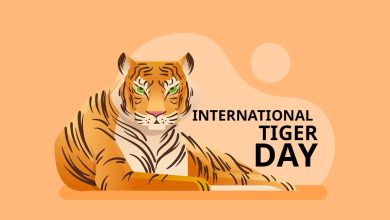 International Tiger Day 2024