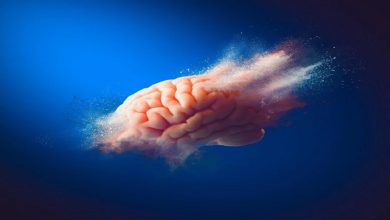 14 Risk Factors You Can Control: Stunning Strategies to Combat Dementia