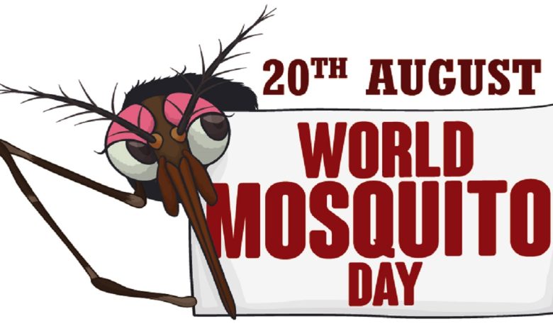 World Mosquito Day 2024: Understanding and Combating the World’s Deadliest Creature World Mosquito Day 2024: Understanding and Combating the World’s Deadliest Creature