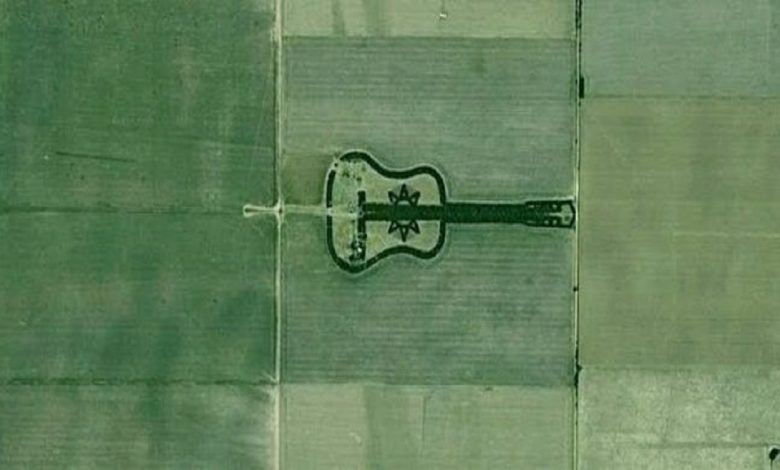 The Guitar-Shaped Forest of Buenos Aires-A Love that Grows