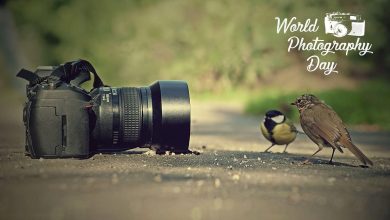 World Photography Day: Capturing the Beauty of Life through the Lens