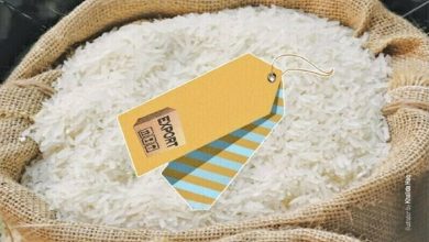 Pakistan’s Rice Exports Hit All-Time High of .89 Billion in 2023-24: A Triumph for the Agricultural Sector