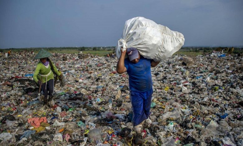 Plastic-Free Pakistan: A Collective Mission for a Sustainable Future