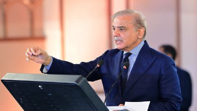 PM Calls for Peace and Progress Amid PTI’s Power Show Plans in Islamabad