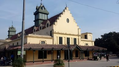 Tollinton Market: From Colonial Museum to Vibrant Marketplace