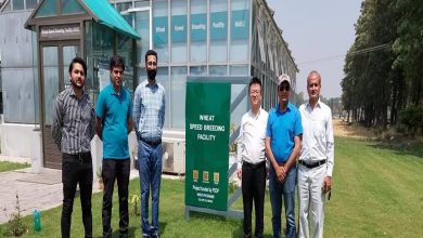 China-Pak Jointly Developed Agricultural App Revolutionizes Farming with AI