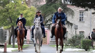 Three Spanish Friends Ride 8,000 km on Horseback to Perform Hajj in Mecca