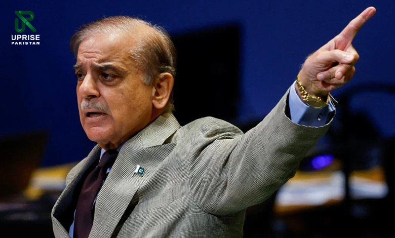 What Did PM Shehbaz Tell The UN General Assembly?