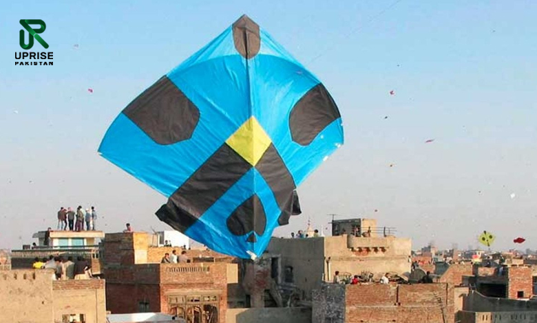 Basant Is Back! Punjab Govt Ends 18-Year Ban On Kite-Flying Festival
