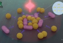 These Tiny Robots 50x Smaller Than A Hair Can Hunt And Move Bacteria