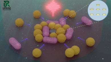 These Tiny Robots 50x Smaller Than A Hair Can Hunt And Move Bacteria